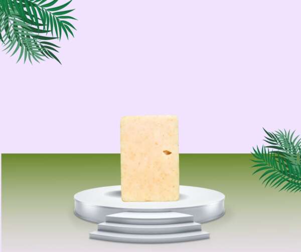 Simplicity Cleansing Bricks - Image 3